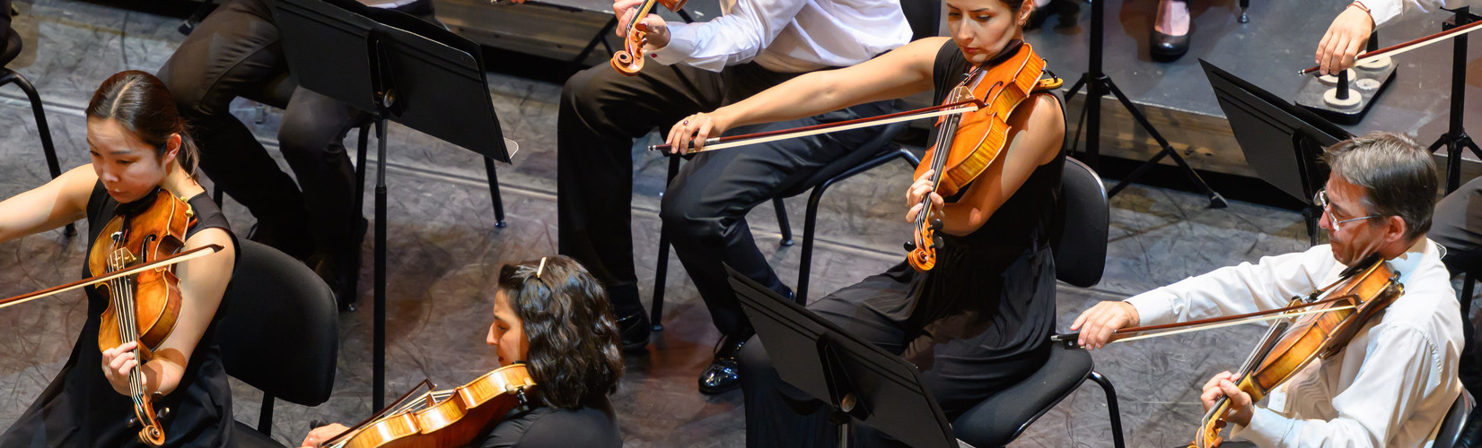 Orchestre national de metz grand est biographie